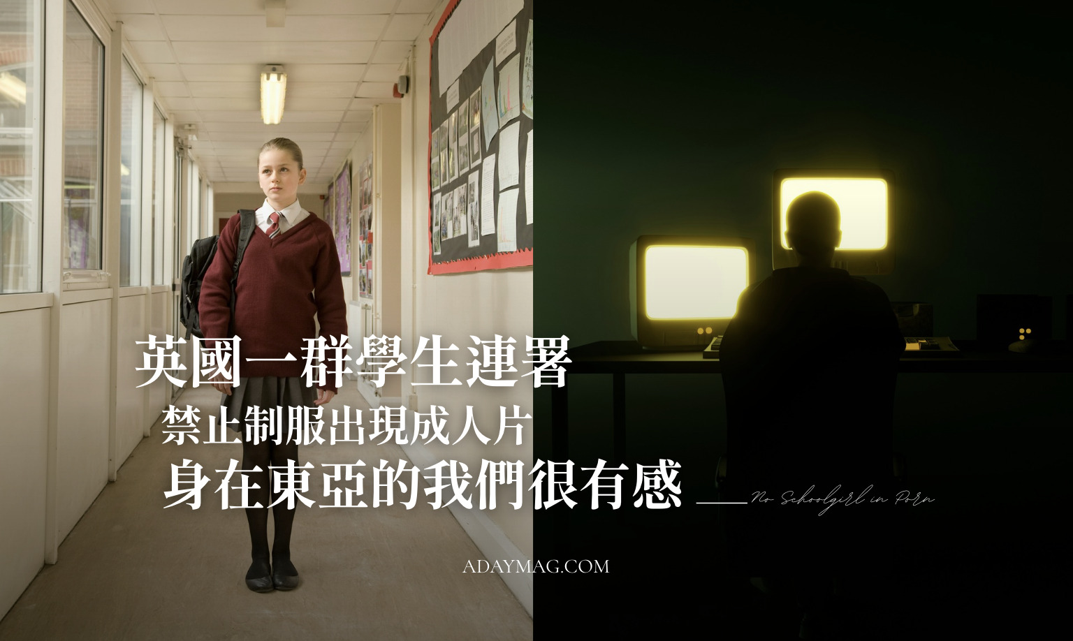 宠物生活与健康资讯 - 低调看球